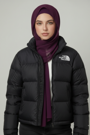 The north face jacket ❄️