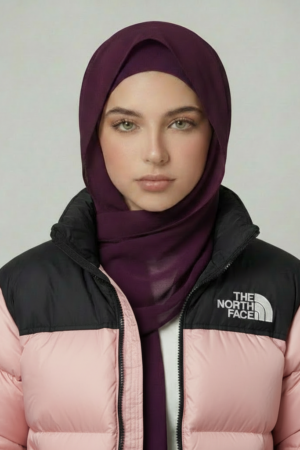 The north face jacket 🩷